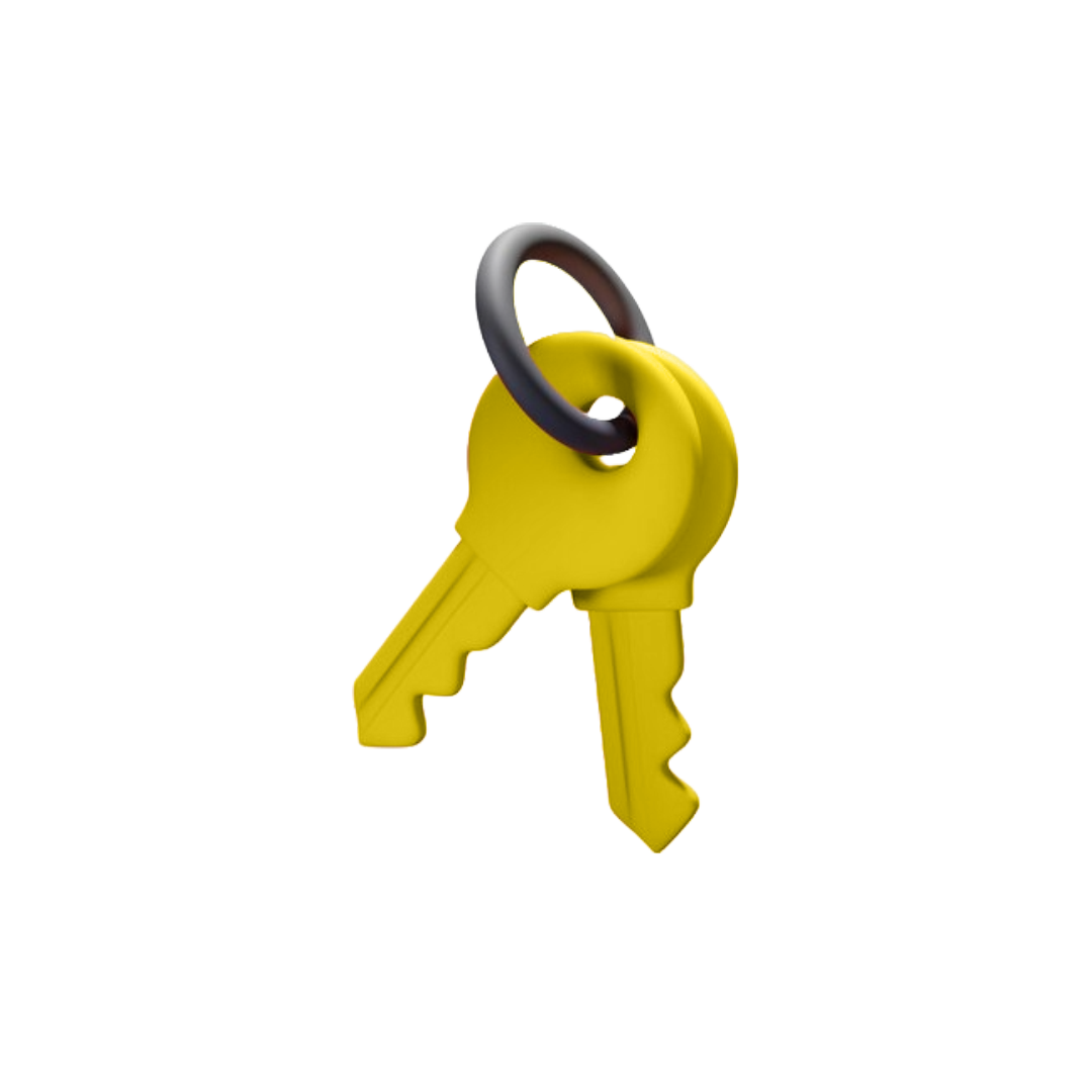 Duplicate Keys icon